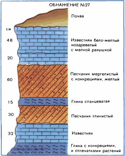 Структура текстура и условия образования горных пород